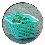 Grüne-Wäsche-Leine